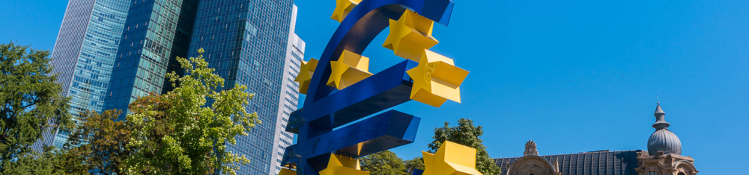 ECB meeting: will the euro fall further?