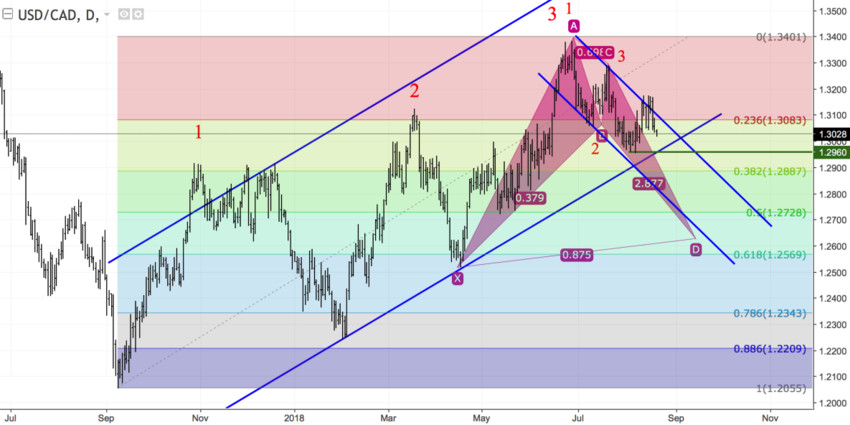 USDCAD daily.png